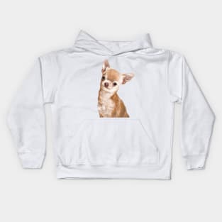 Chihuahua Kids Hoodie